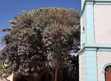 eritrea/asmara/attraction/city-park