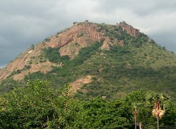india/tamil-nadu/attraction/jarugumalai-reserved-forest