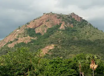Jarugumalai Reserved Forest