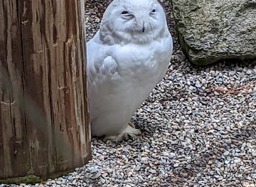 vermont/washington-county/attraction/vins-nature-center