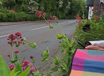 isle-of-man/castletown/attraction/isle-of-man-tt-gorse-lea