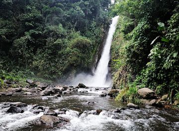 costa-rica/turrialba-valley/attraction/aquiares-waterfall