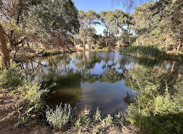 kazakhstan/altyn-emel-national-park/attraction/700-year-old-willow-house-of-the-park-ranger