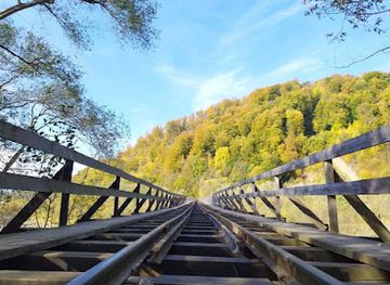 ukraine/trostyan/attraction/carpathian-tramway