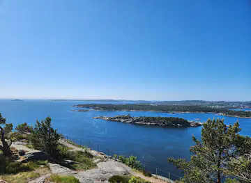 Odderøya fort