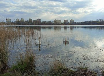 poland/silesia/attraction/zespol-przyrodniczo-krajobrazowy-szopienice-borki
