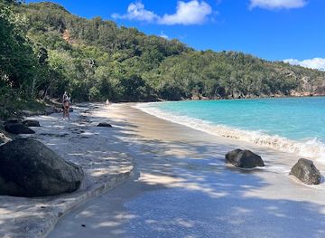 antigua-and-barbuda/jolly-harbour/attraction/critter-cove-beach