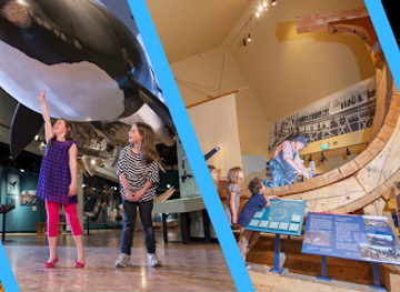 canada/atlantic-canada/attraction/new-brunswick-museum