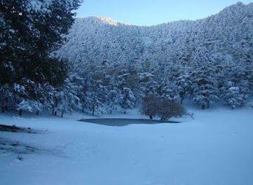 algeria/tindouf-region/attraction/theniet-el-had-national-park