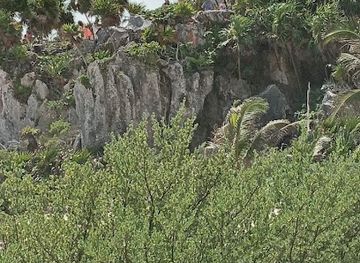 mexico/riviera-maya/attraction/playa-del-car