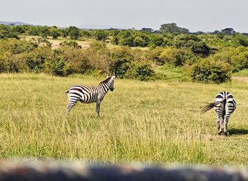 kenya/maasai-mara/attraction/masai-mara-national-reserve-talek-gate