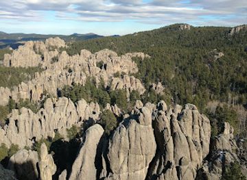Black Hills National Forest