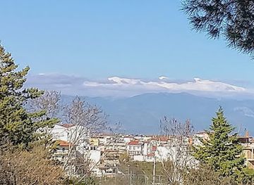 greece/larissa/attraction/mezourlos-grove