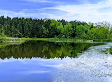 ohio/cuyahoga-valley-national-park/attraction/horseshoe-pond