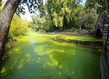 new-zealand/nelson/attraction/huangshi-garden