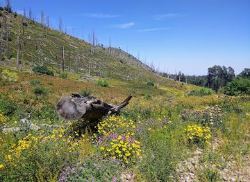 arizona/chiricahua-national-monument/attraction/rustler-park
