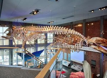 rhode-island/warwick/attraction/new-bedford-whaling-museum