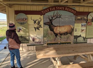 california/westside/attraction/tule-elk-reserve-state-natural-reserve