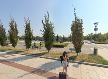 italy/verona/attraction/statue