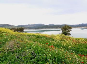 algeria/oued-righ/attraction/ile-de-sidi-el-mahdi