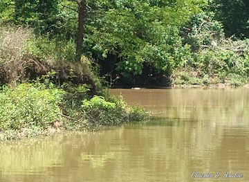 louisiana/bayou-country/attraction/acadiana-park-nature-station
