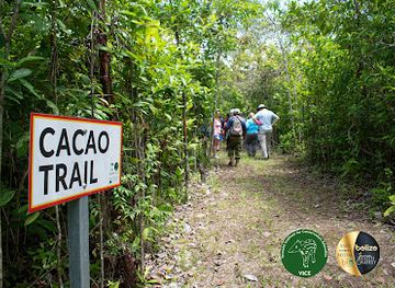 belize/toledo-district/attraction/golden-stream-corridor-preserve