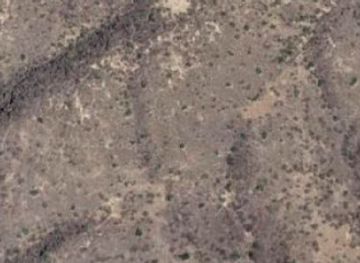 india/rann-of-kutch/attraction/great-dweep