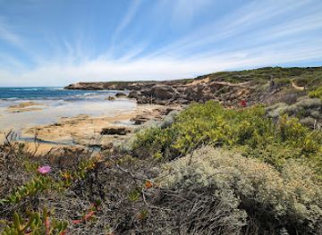 australia/western-district/attraction/pickering-point
