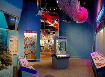 illinois/springfield/attraction/illinois-state-museum