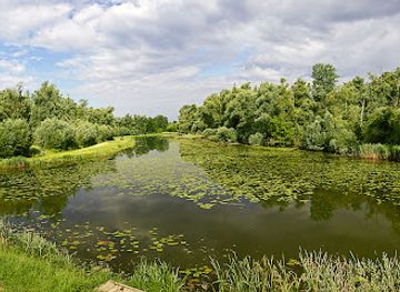 croatia/medimurje/attraction/svetomartinska-mura