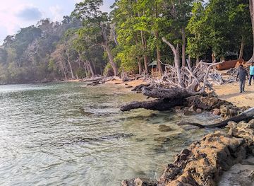 india/andaman-islands/attraction/chidiyatapu-sunset-point