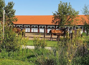 hungary/hortobagy/attraction/matai-menes