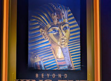 florida/jacksonville/downtown-jacksonville/attraction/beyond-monet-jacksonville