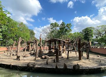 indonesia/surabaya/wonokromo/attraction/surabaya-zoo