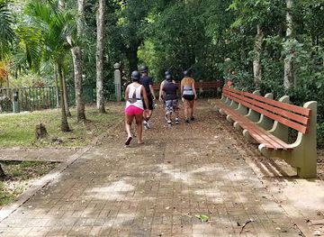 puerto-rico/camuy-river-cave-park/attraction/camuy-zip-line