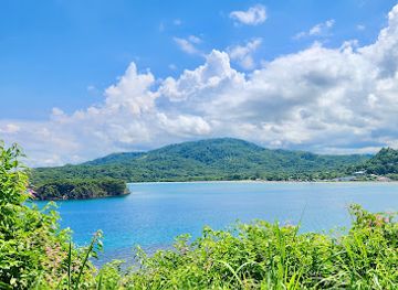 jamaica/north-coast/attraction/fort-haldane