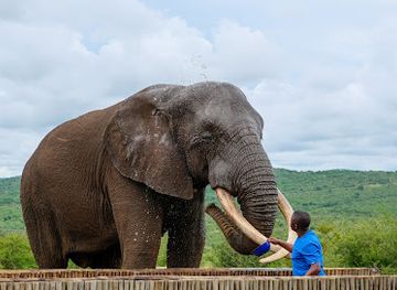 south-africa/elephant-coast/attraction/bayete-zulu-lodges