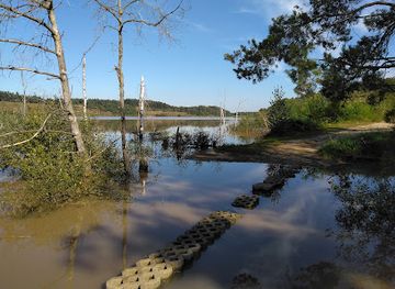 belgium/hoge-kempen-national-park/attraction/zandloperpad-mechelse-heide