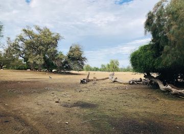 pakistan/cholistan-desert/attraction/deer-sanctuary