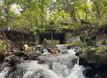 costa-rica/monteverde/attraction/el-choyin