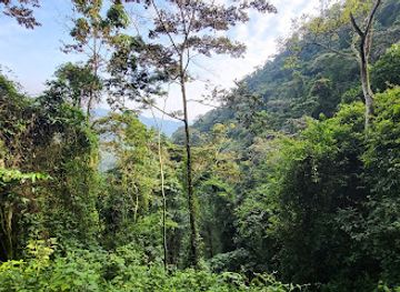 uganda/bwindi-impenetrable-national-park/attraction/gorilla-katweew-group