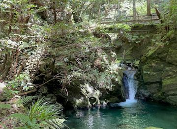 japan/shikoku-island/attraction/kawaaobanoniirutakitsubo