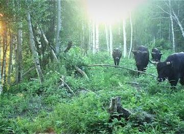 Ķemeri National Park