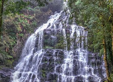 australia/tasmania/attraction/nelson-falls