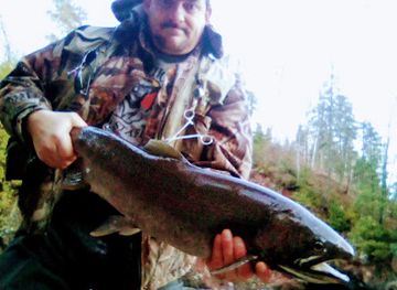 minnesota/tettegouche-state-park/attraction/baptism-river-trailhead