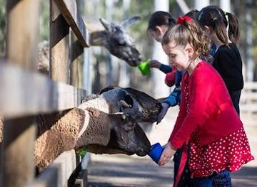australia/brisbane/attraction/white-ridge-farm