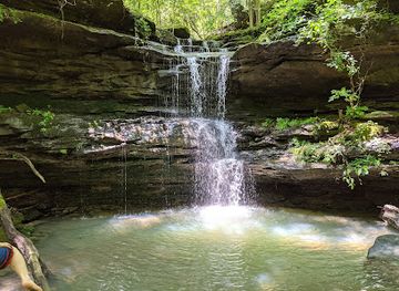 alabama/dismals-canyon/attraction/cane-creek-canyon-nature-preserve