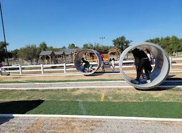 oklahoma/norman/attraction/orr-family-farm