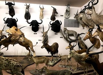 wyoming/cheyenne/attraction/nelson-museum-of-the-west