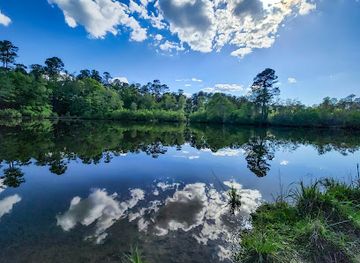 mississippi/desoto-national-forest/attraction/ashe-lake-recreation-area